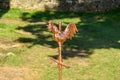 The bronze rooster in front of the church of Cuncy les Varzy in Europe, France, Burgundy, Nievre, in summer, on a sunny day