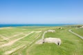 Longues-sur-Mer battery bunkers in Europe, France, Normandy, towards Arromanches, Longues sur Mer, in spring, on a sunny day Royalty Free Stock Photo