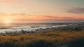 Golden Hour Ocean A Dreamy Rocky Shore With Yellow Flowers