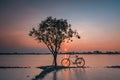 Sunset magic alone cycle deep