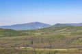 Landscape photography of valley in summer times