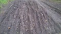 Landscape picture of bike tracks in the mud