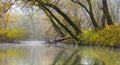 Landscape picture with fog over river or lake and green trees Royalty Free Stock Photo