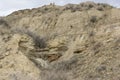 Landscape picture of mountain lion at den