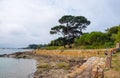 Landscape at picturesque Ile de Brehat island in Brittany, France