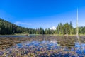 Landscape of the picturesque Trillium Lake with couple of kayaking surrounded by forest overlooking Mount Hood and water lilies in Royalty Free Stock Photo