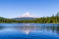 Landscape of the picturesque Trillium Lake surrounded by forest overlooking Mount Hood and the reflection of snowy mountain in the