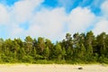 Landscape with pine tree forest growing on dunes at Baltic sea shore and white cumulus clouds on blue sky. Royalty Free Stock Photo