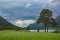 Landscape with pine tree, lake and storm sky, Norway Royalty Free Stock Photo