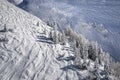 Landscape with pine trees covered with snow Royalty Free Stock Photo