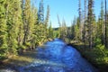 Landscape with pine trees in mountains and a river in front flowing to lake Royalty Free Stock Photo