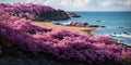 Landscape with pink flowers, rocks, beach and beautiful turquoise sea water. Royalty Free Stock Photo