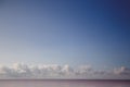 Landscape pink salty lake.