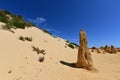 Landscape of the Pinnacle desert limestone formations