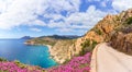 Landscape with Plage de Bussaglia, Corsica