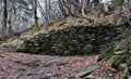 a landscape plagued by frost and snow with walls of flat stones