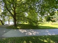 Landscape of the Planes or plane trees avenue near the lake - Flower Island Mainau on the Lake Constance or Die Blumeninsel