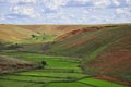 Landscape of the plateau of madagascar Royalty Free Stock Photo