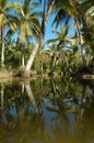 Landscape of playa Bonita at Las Galeras Royalty Free Stock Photo