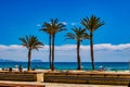 landscape Playa San Juan Alicante beach in spain on a summer day