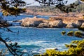 Landscape in Point Lobos State Natural Reserve on the Pacific Ocean coastline, close to Monterey and Big Sur, California Royalty Free Stock Photo