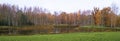 landscape with a pond and a birch forest Royalty Free Stock Photo