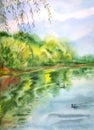 Landscape with a pond shore, willows and ducks, watercolor