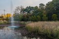 Pond surrounded by tall reeds and trees in fall colors Royalty Free Stock Photo