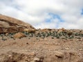 The eastern desert part of Jordan. Landscapes of stone deserts and rocks along the road to Petra.