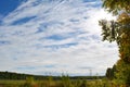 Landscape with poplar trees, field, forest on the background, and beautiful skyscape. Cirrocumulus white clouds on blue sky Royalty Free Stock Photo