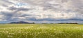 landscape with poppy field, cloudy sky Royalty Free Stock Photo