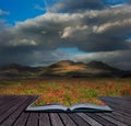 Landscape of poppy fields in front of mountain range Royalty Free Stock Photo