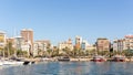 Landscape of the port of alicante with the promenade full of palm trees and the sea with many boats with a clear blue sky in