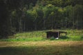 A landscape portrait of a shed in the middle of the meadow in a forest. The woods to the back create a very scenic barn