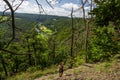 Landscape of the protected landscape area Krivoklatsko, Czechia