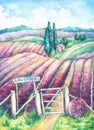 Landscape in Provence. Colorful blooming lavender fields with rural house, nameplate, cart-wheel and fence.