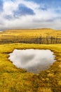 Landscape with puddle on the Faroe Island Streymoy Royalty Free Stock Photo