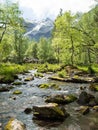 Landscape pure stream with rocks in the moss