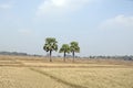 Landscape at purulia