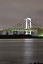 Landscape of Rainbow bridge in Tokyo at night Royalty Free Stock Photo