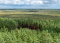 Landscape from Rannametsa vaatetorn, panoramic view of Tolkuse bog hiking trail over the tops of trees from the tower, PÃÂ¤rnu