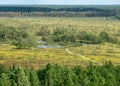 Landscape from Rannametsa vaatetorn, panoramic view of Tolkuse bog hiking trail over the tops of trees from the tower, PÃÂ¤rnu