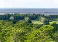 Landscape from Rannametsa vaatetorn, the sea can be seen from the top of the trees, PÃÂ¤rnu county, Estonia