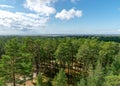 Landscape from Rannametsa vaatetorn, the sea can be seen from the top of the trees, PÃÂ¤rnu county, Estonia
