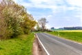 Landscape with rapeseed flower field Royalty Free Stock Photo