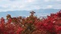 Landscape of red maple leaves tree nature with Kyoto tower and cityscape.