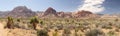 Landscape at Red Rock Canyon Royalty Free Stock Photo