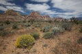 Landscape in Red Rock Canyon, Nevada, USA Royalty Free Stock Photo