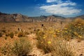 Landscape at Red rock canyon Royalty Free Stock Photo