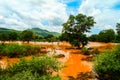 Landscape of red swamp Weito river Ethiopia